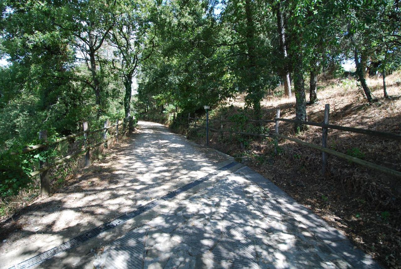 Apartmán Podere L'Aquila Gaiole in Chianti Exteriér fotografie