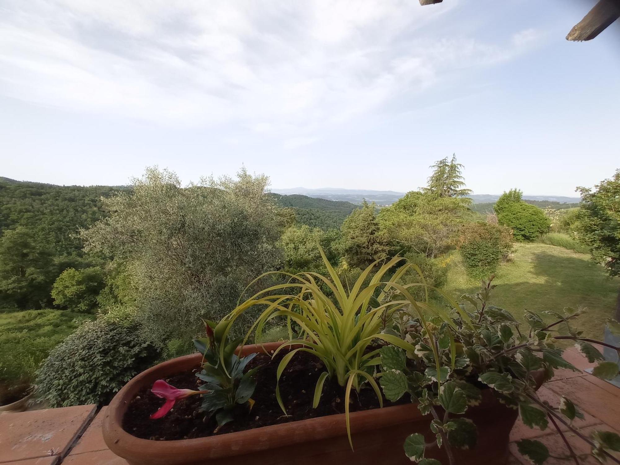 Apartmán Podere L'Aquila Gaiole in Chianti Pokoj fotografie